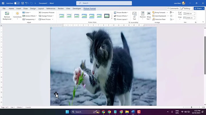 How to make an image fill the entire page in Word Using full size of page for an image