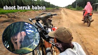 Download Lagu Berburu !! Tenbak beruk mulai teror warga MP3