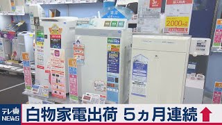 白物家電５ヵ月連続プラス　空気清浄機２月最高（2021年3月22日）