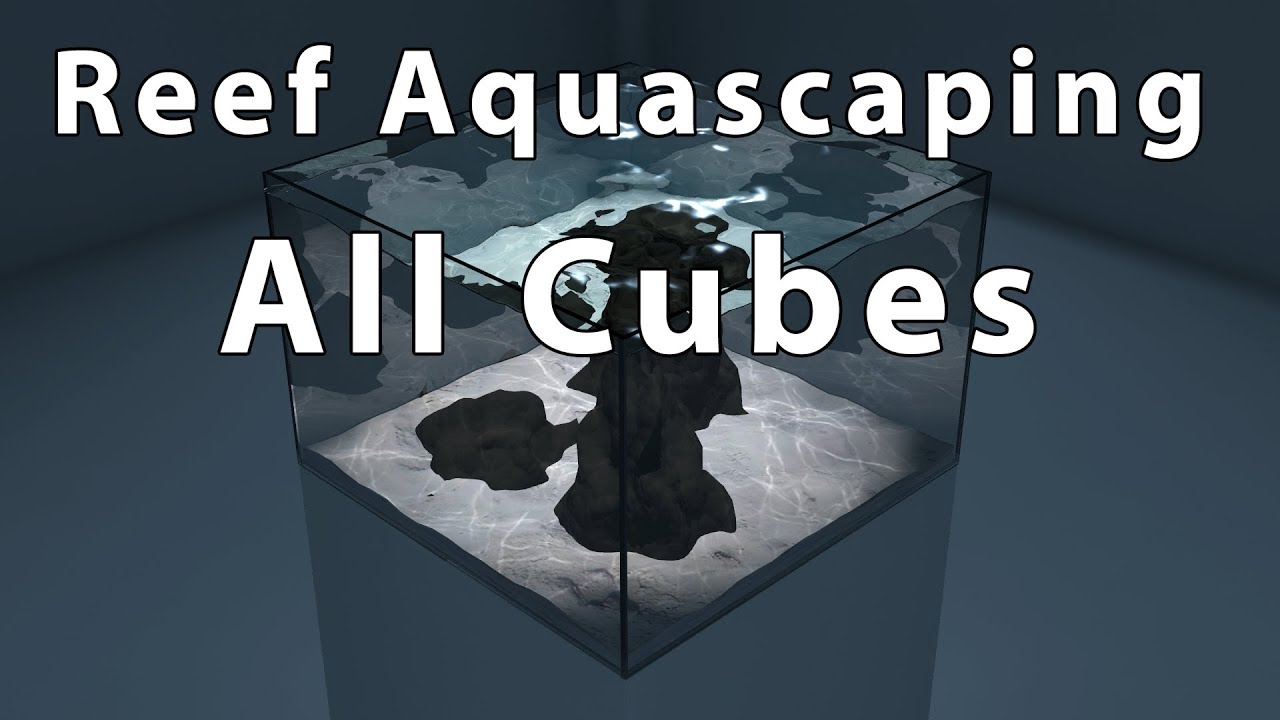 Spijsverteringsorgaan Blaast op haag Reef Aquascaping - All cubes - YouTube