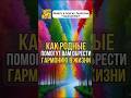 Как родные помогут вам обрести гармонию в жизни