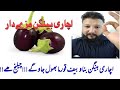 Achari Bageen So Testy And Yummy Try Att Hom Eggplant Pickle Mix Achari Bageen So Testy And Yummy Try Att Hom Eggplant Pickle Mix