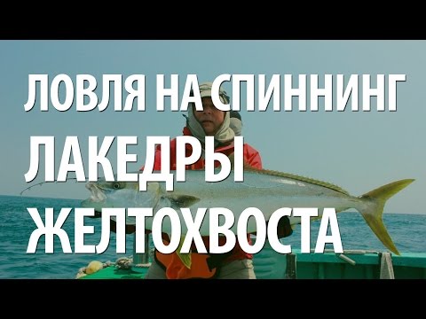 спиннинг для ловли лакедры