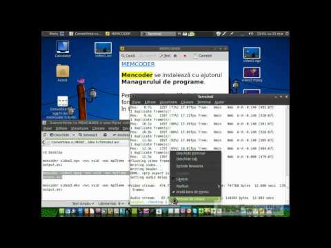 Video: Cum Se Convertesc Videoclipurile în Format Mpeg