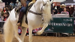 Feria del caballo Español.  Feb 2024