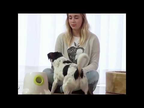 automatic-tennis-ball-launcher-dog-toy