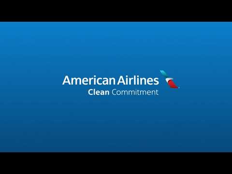 American Airlines: Factual Flying