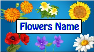 Flowers Name in English And Hindi | फूलों के नाम | Flowers Name with pictures | Starbell tv