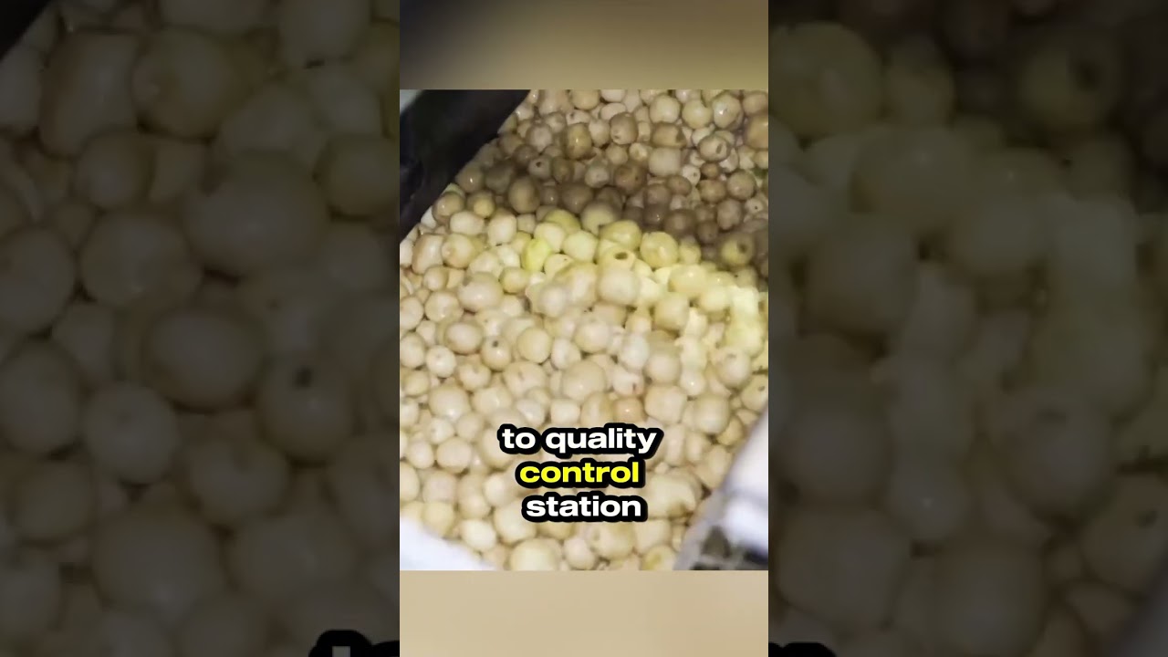 How POTATO CHIPS are made?! 🍠