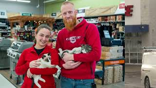 Business Spotlight: ACE Hardware