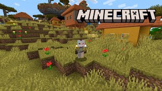 【Minecraft】初心者がやるとこうなります🔰【蜂蜜ぷりん/ぶいぱい】