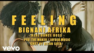 Bignani Afrika - Feeling