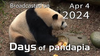 20240404 Broadcast Top Highlights 06 by pandapia HD 322 views 13 days ago 3 minutes, 41 seconds