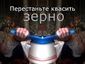 Перестаньте квасить зерно: Проращивание как в природе пшеницы, злаков, бобовых, семян