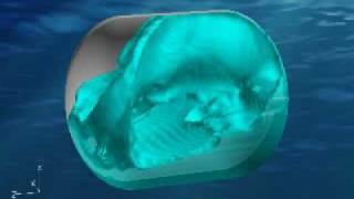 Orbital PMD-FLOW-3D CFD Simulation