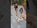 funy #family#happy #dog #run