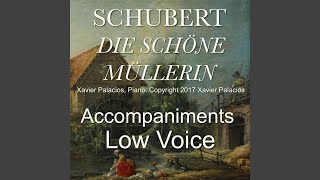 Die schöne Müllerin, D. 795: No. 3, Halt in G Major