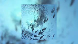 Blink  Nuvfr slowed  Reverb