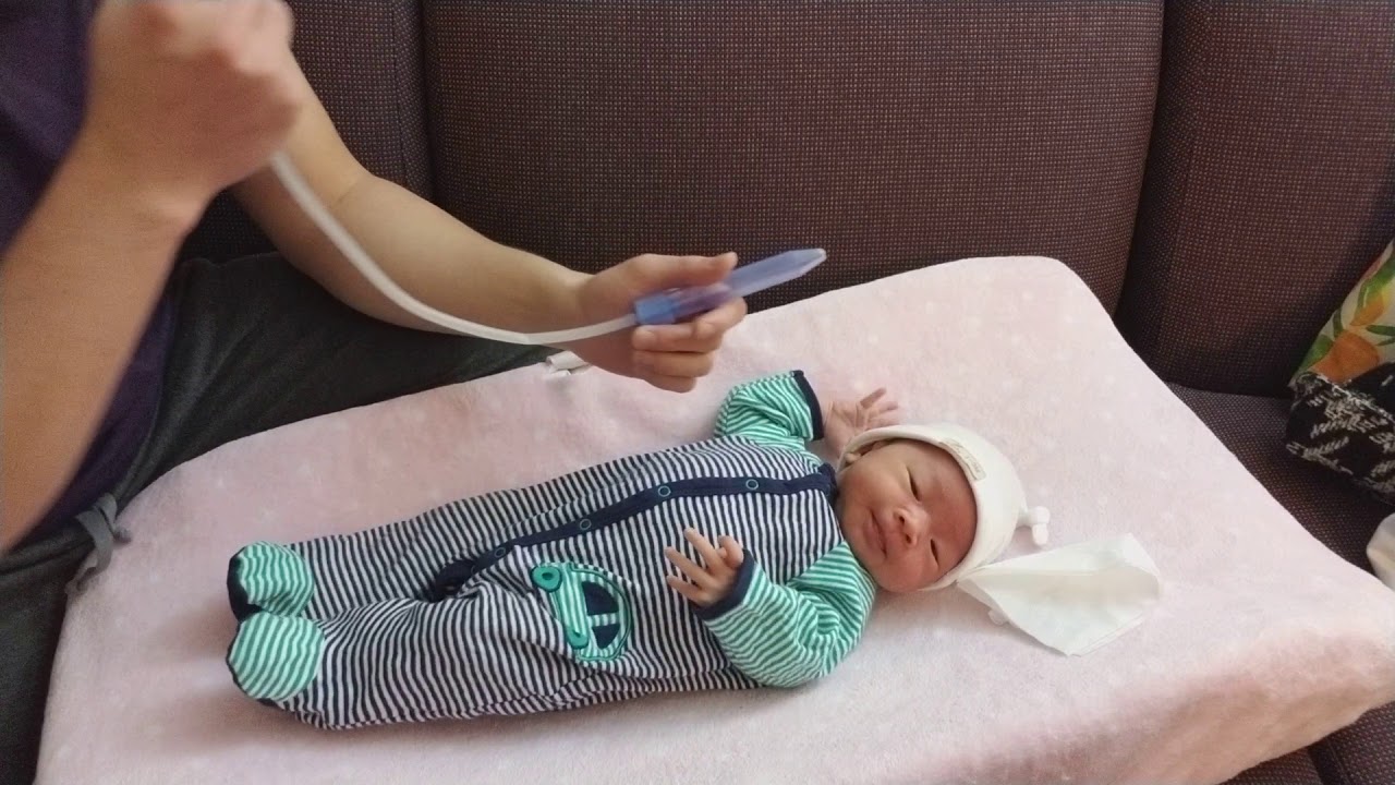 20171213 First time using NoseFrida for Camellia Dùng Nose Frida