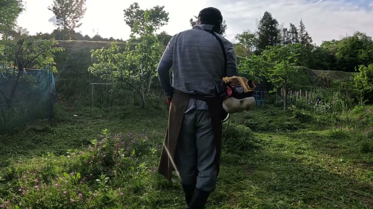 庭の草刈り 4段目梨の木周辺：草刈り機26㏄ チップソー ジズライザプロエア