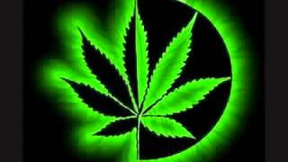Cannabis Eclipse®