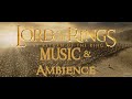 The Lord of the Rings - The Ride of the Rohirrim | Music &amp; Ambience (battle music)