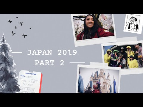 🇯🇵 Japan Trip! Mt. Fuji🗻, Tokyo Disney🎠, Mari Car🏎🗼