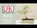 Bonsai: Styling Your First Bonsai Tree