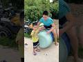 Hai Mẹ Con Úp Được Con Rắn Hổ Mang Chúa Khổng Lồ #shortvideo #funny