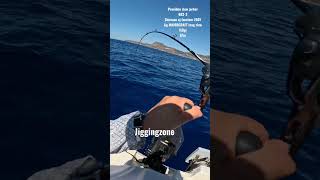 Φαγγρί Poseidon slow jerker 603-3 67m #slowpitch #jigging #mancing #spj #ψάρεμα #jigging #shimano