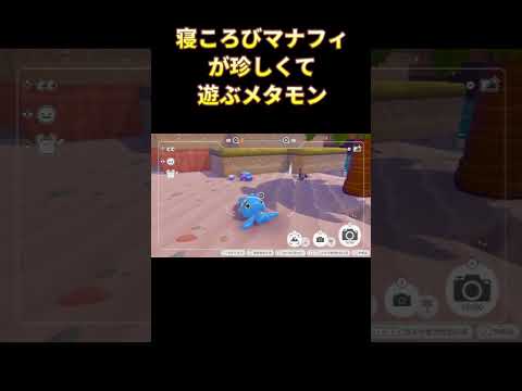 寝ころびマナフィが珍しくて遊ぶメタモン #ぽこあポケモン  #ポケモン