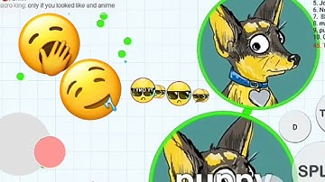 MACRO MODE KING 👑 *BLOB.IO*