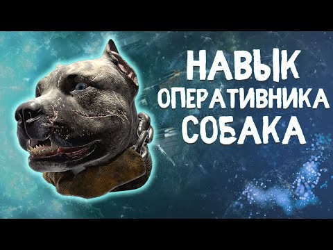 Видео: Aroooo! Внутренняя история о захвате движения собаки Call Of Duty