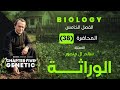 المحاضرة 38 الطفرات