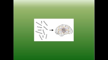 NeuroShell Trader 7 Overview