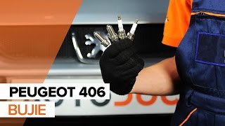 Instrucțiuni video pentru Peugeot 307 Break 2006