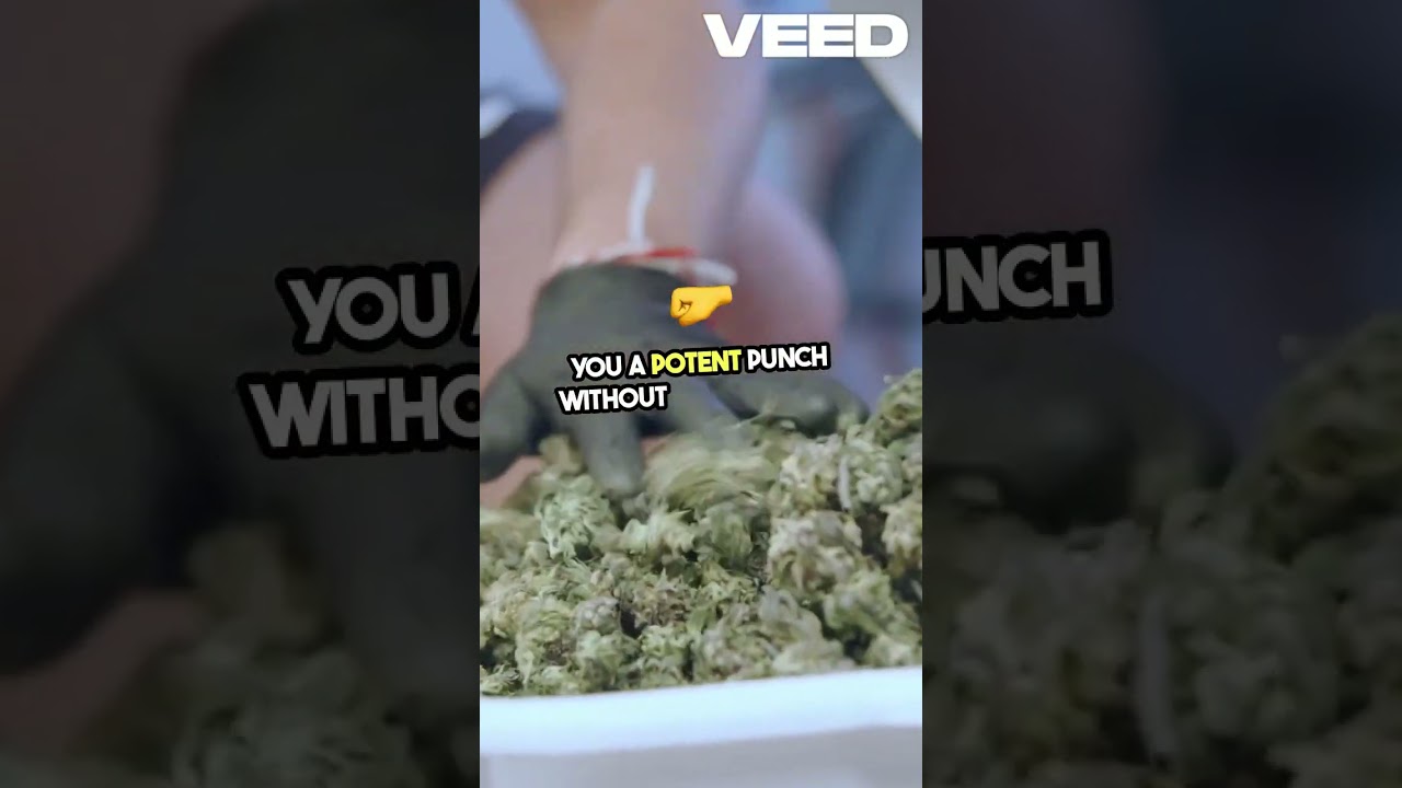 Benefits Of Marijuana Shake!  