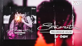 Señorita Remix | Dj Cndy | Progressive House | Camila Cabello | Shawn Mendes