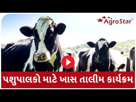 પશુપાલક મિત્રો ડેરી ફાર્મર એન્ટરપ્રેન્યોર તાલીમ પ્રોગ્રામની માહિતી ||Animal hus. || Dr.Suman Trivedi - પશુપાલક મિત્રો ડેરી ફાર્મર એન્ટરપ્રેન્યોર તાલીમ પ્રોગ્રામની માહિતી ||Animal hus. || Dr.Suman Trivedi