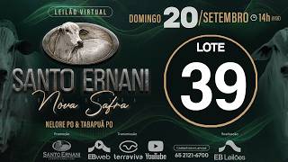 39 - LEILÃO VIRTUAL SANTO ERNANI NOVA SAFRA - 20/09/2026