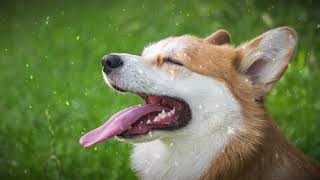 Get Outside Jason Farnham Pop Happy No Copyright Music