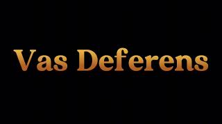 How to Pronounce Vas Deferens in English 2024