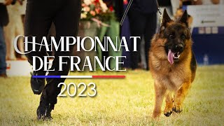 REPORTAGE  Le Championnat de France du chien de race 2023 !