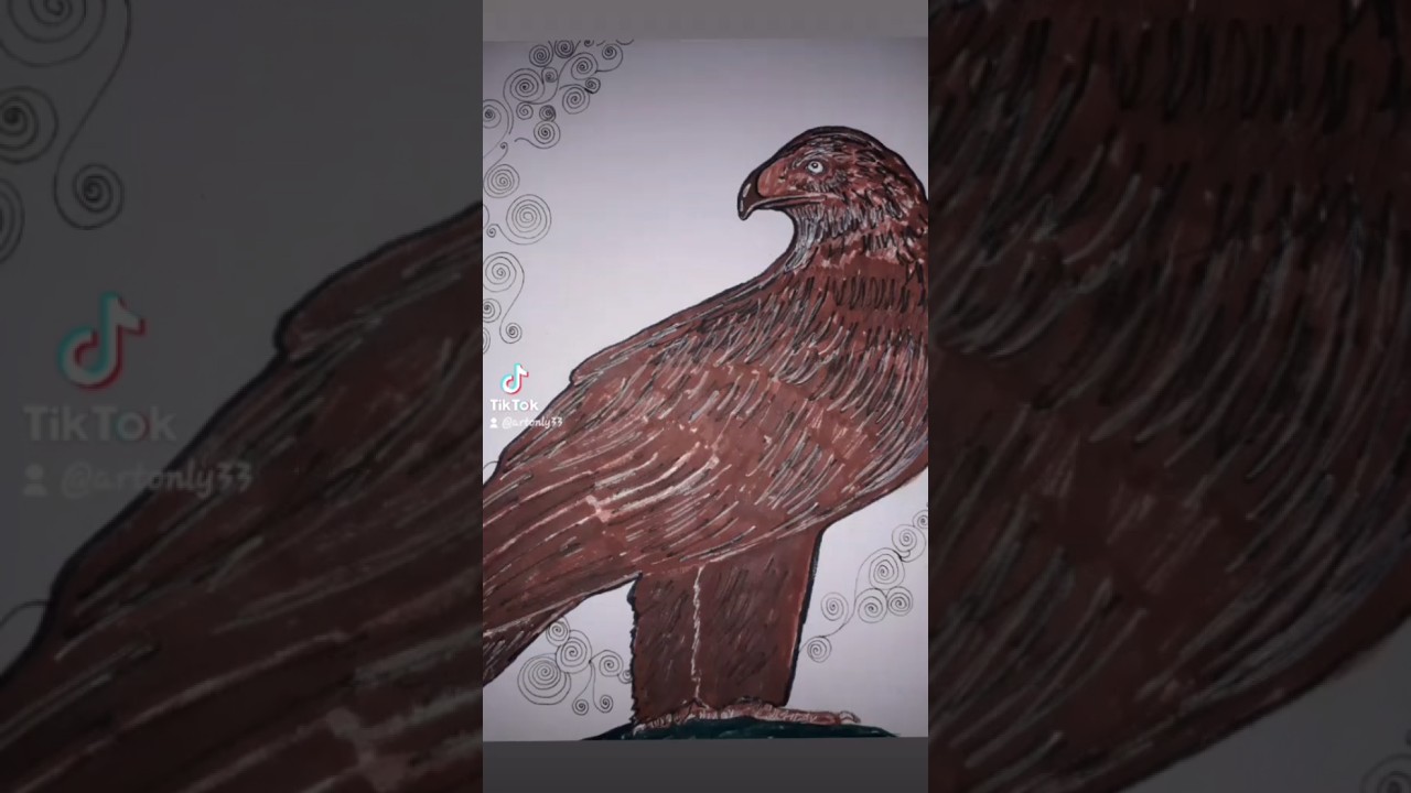 Ancient spirit animal guides...The Eagle  