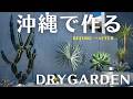 沖縄で作るドライガーデン。【BEFORE→AFTER】