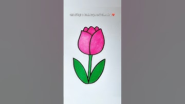 Cách vẽ hoa Tulip đơn giản mà xinh🌷 #thienmink1 #artist #drawing #art #draw #tulip #vetranh #shorts