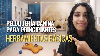 Cómo empezar una estética para mascotas | Herramientas básicas de la peluquería canina