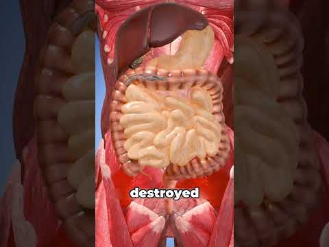 Не глотайте живого осьминога