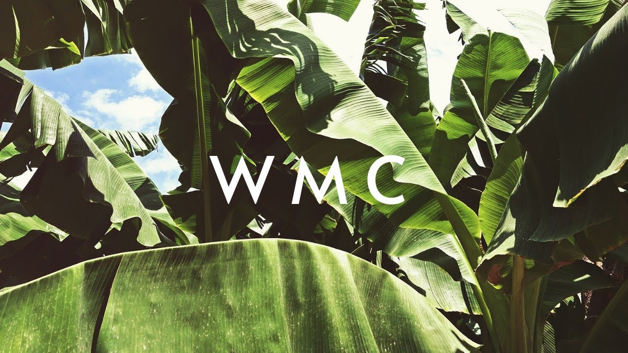 Summer Future/Tropical Bass Mix | Summer Dance Music Mix by Ikson