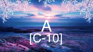A (C-10) p10